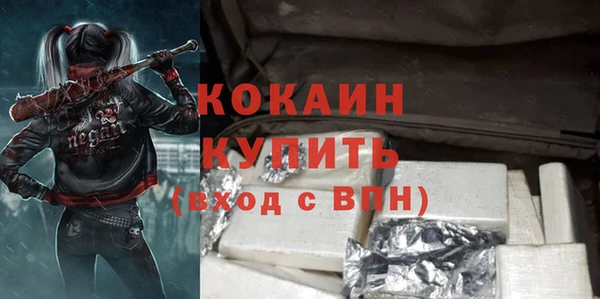 первитин Новодвинск