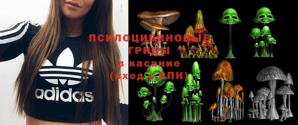 первитин Новодвинск