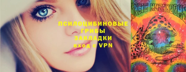 мет Новозыбков