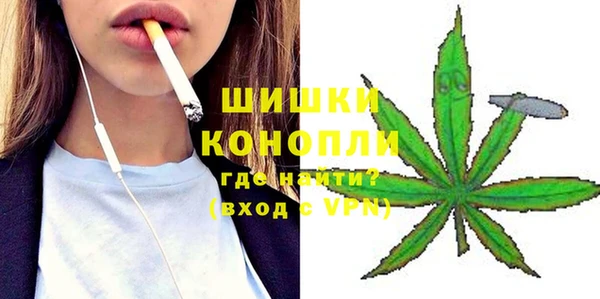 первитин Новодвинск