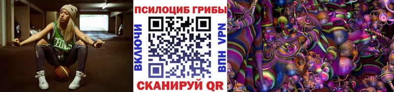закладка  ссылка на мегу ONION  маркетплейс официальный сайт  Суровикино  Галлюциногенные грибы Psilocybe 