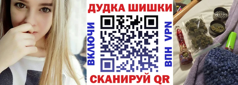продажа наркотиков  Суровикино  Бошки Шишки сатива 